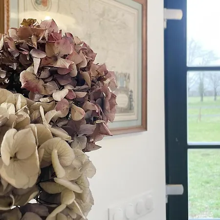 La Maison Aux Fleurs By La Boite En Courteuil