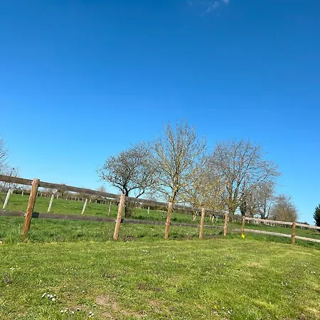 La Maison Aux Fleurs By La Boite En Courteuil